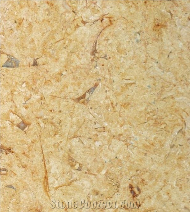 Sinai Fosiles Limestone Tiles & Slabs, Yellow Limestone Floor Tiles, Wall Tiles Egypt