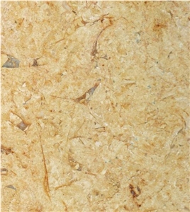 Sinai Fosiles Limestone Tiles & Slabs, Yellow Limestone Floor Tiles, Wall Tiles Egypt