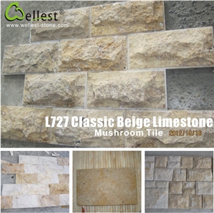 Limestone Slabs & Tiles for Outdoor Wall Covering/High Quality Limestone with Cheap Price