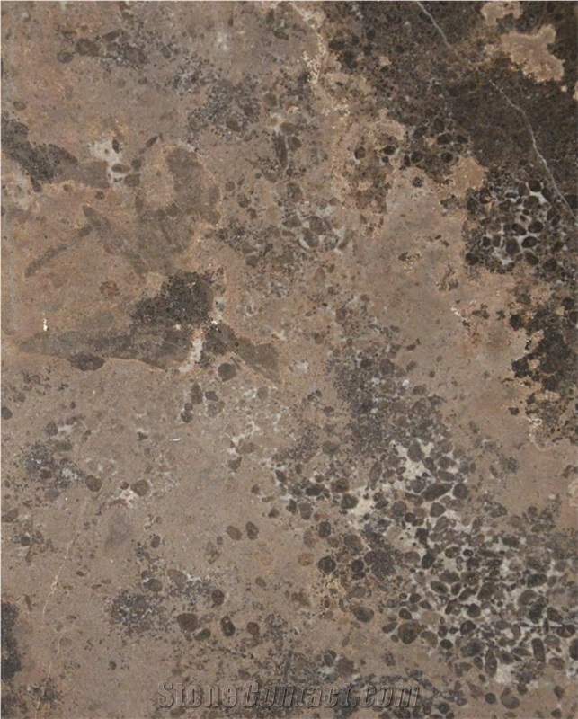 Brown Beach Marble Slabs & Tiles, Golden Beach Marble, China Brown Marble