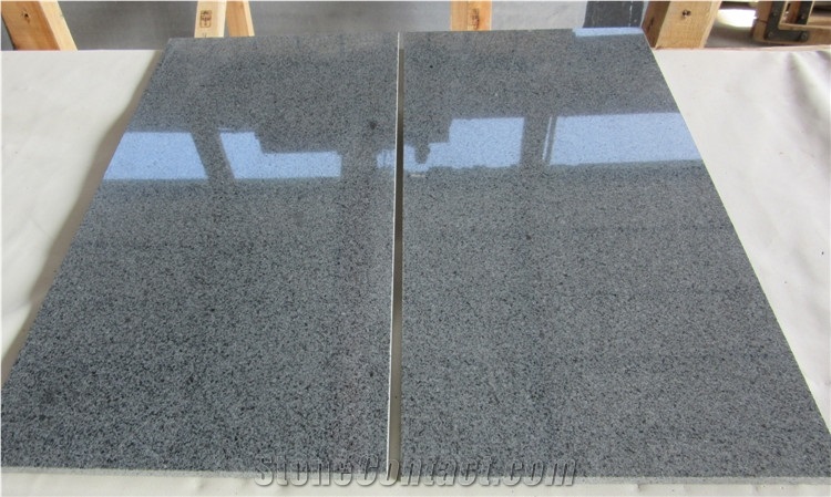 Polished G654 Padang Dark Granite Tile for Wall Cladding