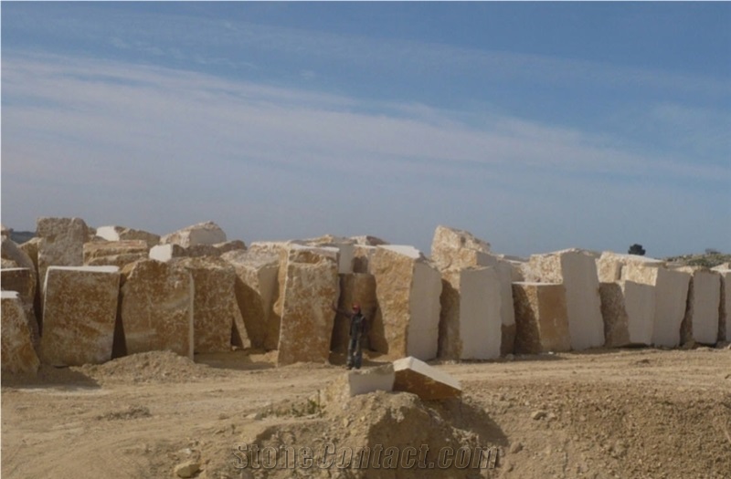 Jerusalem Bone A-16 Limestone Blocks