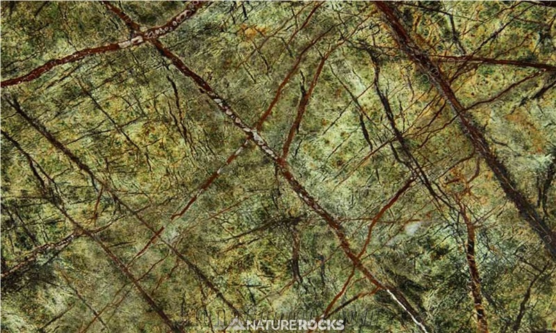 Rainforest Green Marble Tiles & Slabs, Flooring Tiles, Flooring Tiles