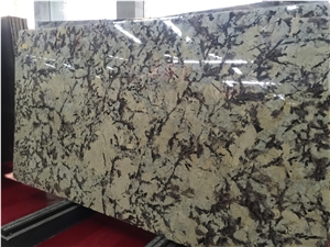 Green Fold Onyx/ Multicolor Grey Green Jade Big Slabs & Tiles & Gangsaw Slab & Strips (Small Slabs) & Customized & Wall/Floor Covering