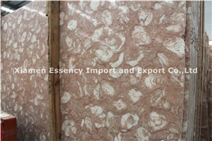 Pink Shell Marble Slab