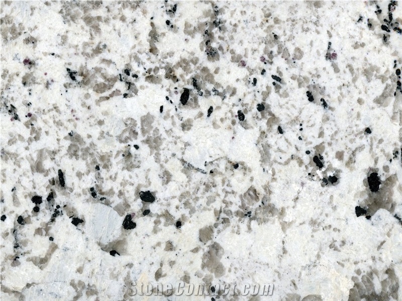 Latinum Granite Slabs