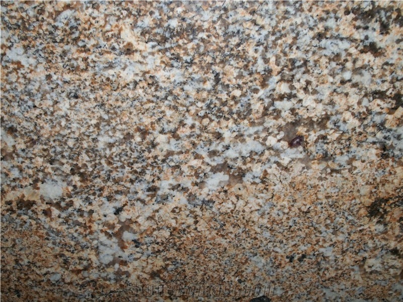 Mokoro Gold Granite Slabs