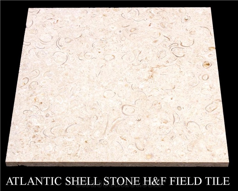 Atlantic Shell Stone Slabs