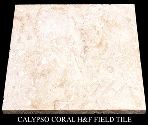 Calypso Coral Honed Filled Tiles