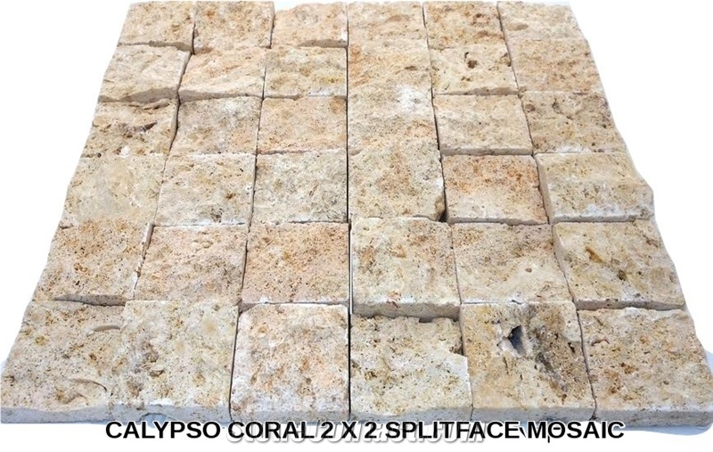 Calypso Coral Honed Filled Tiles