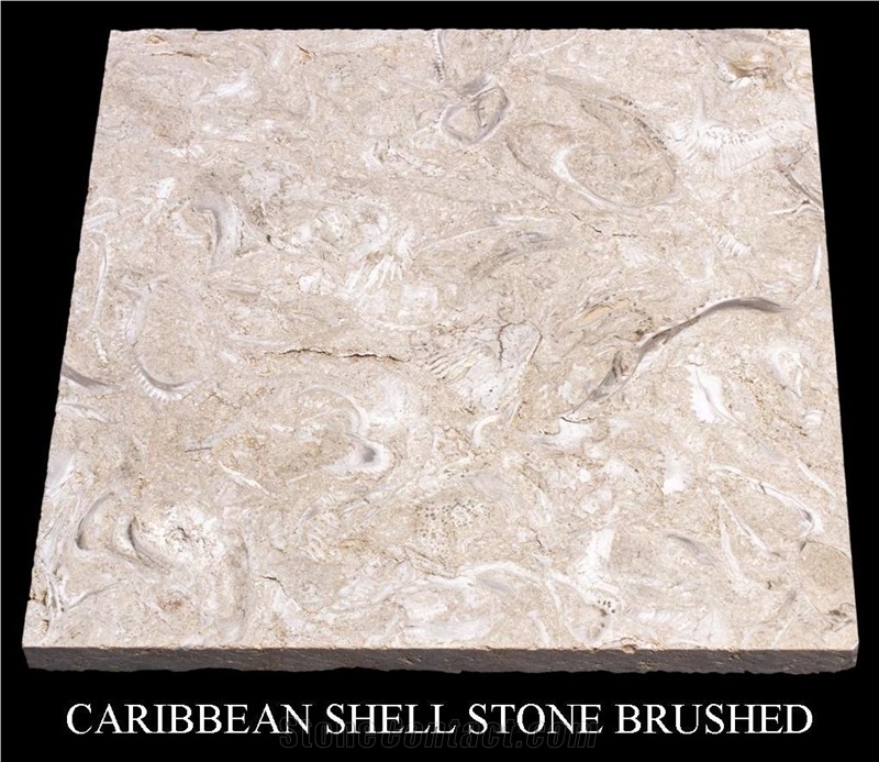 Caribbean Shell Stone