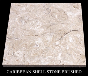 Caribbean Shell Stone