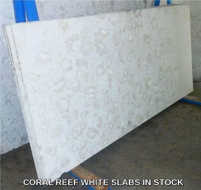 Coral Reef White
