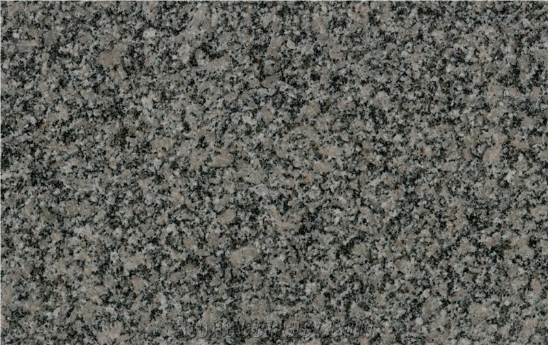 Chintamani Grey Granite Tiles, Slabs