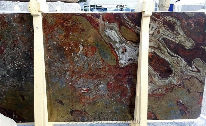 Macrofossil Gran Fossil Slabs, Tiles