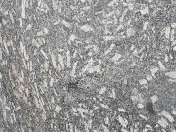 Beige Puma Granite Tiles & Slabs, Black Polished Granite Floor Tiles, Wall Tiles