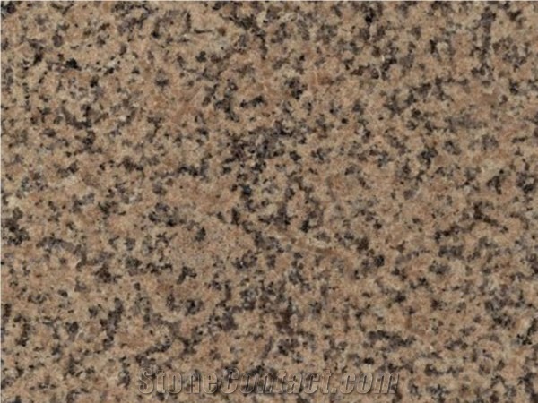 Marron Coco Granite Tiles & Slabs, Brown Polished Granite Floor Tiles, Wall Tiles