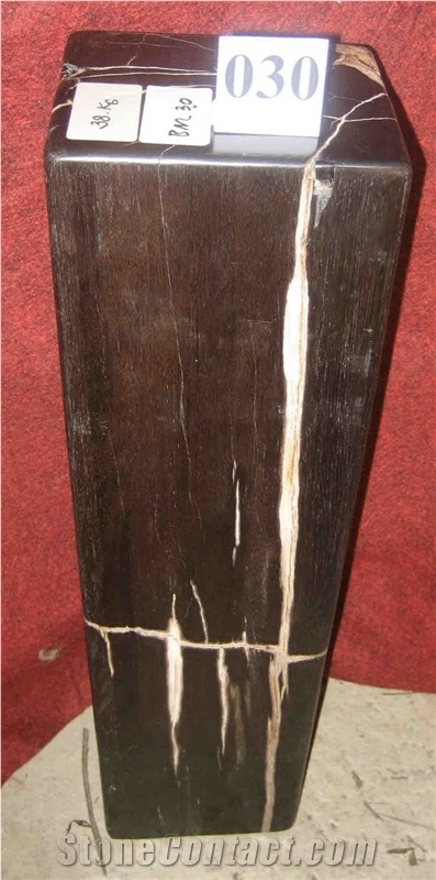 Petrified Wood Pedestal