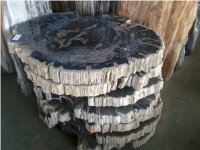 Petrified Wood Sliced Tabletops,Reception