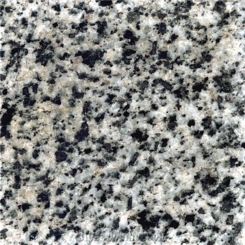 Nizhne Sanarskiy Granite Tiles & Slabs, White Polished Granite Floor Tiles, Flooring