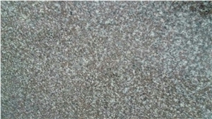China G664 Granite Slabs for Floor Covering