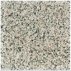 Pacific White Granite Tiles, Slabs, White Granite Floor Tiles