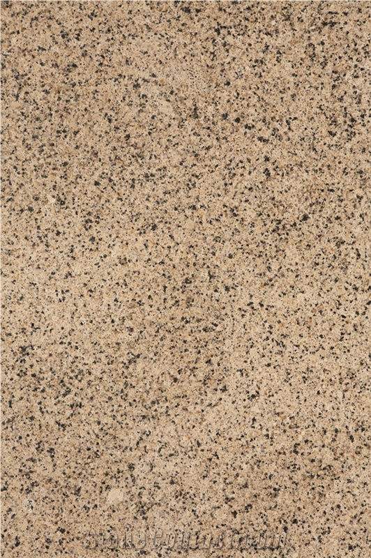 Panther Yellow Granite Tiles, Slabs, Floor Tiles, Walling Tiles