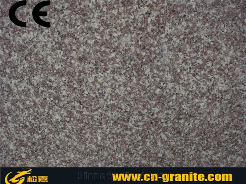 Chinese Popular G664 Granite Tiles & Slabs for Floor and Wall Covering
