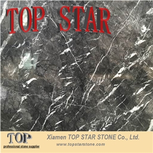 Polished Italy Grey Color Marble Gris Carnico Stone for Tile