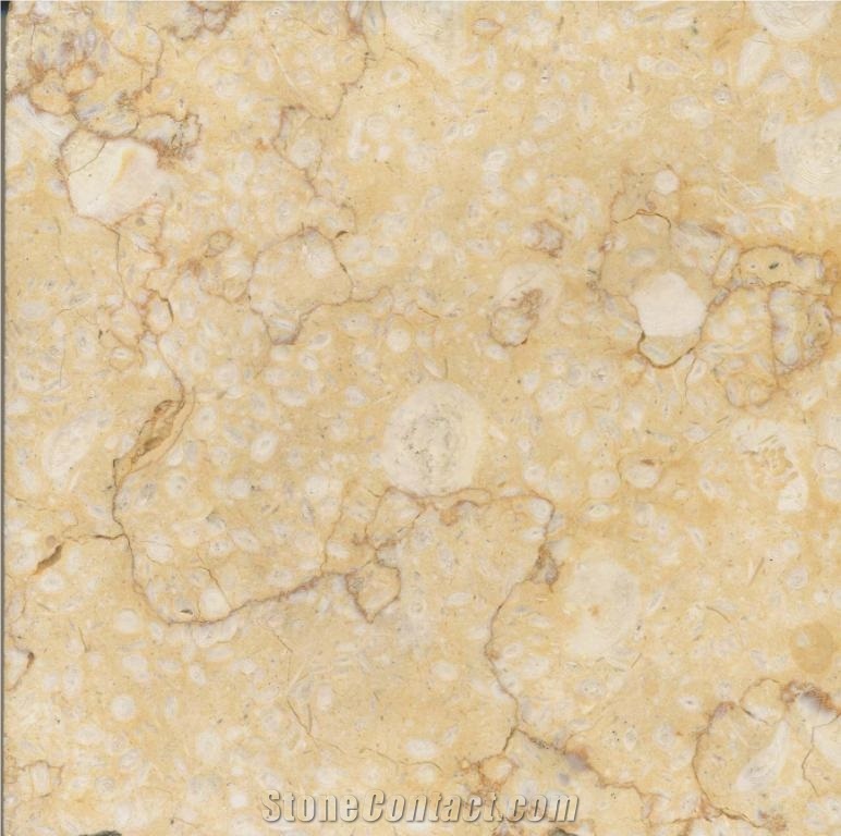 Sinai Grey Marble Slabs & Tiles