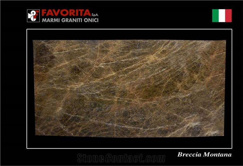 Breccia Montana Granite Slabs & Tiles, Brown Polished Granite Floor Tiles, Wall Tiles