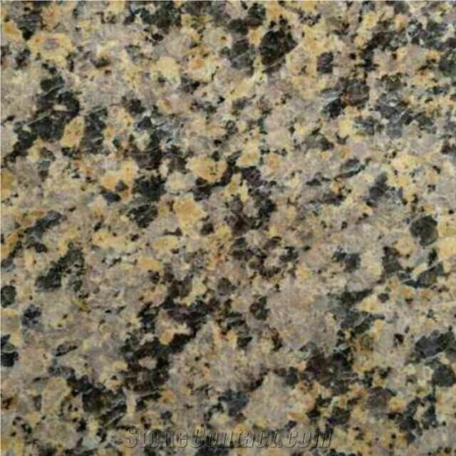 Saibei Giallo Granite/Gold Giallo Granite Tile & Slab