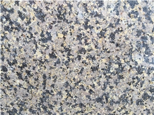 Saibei Giallo Granite/Gold Giallo Granite Tile & Slab
