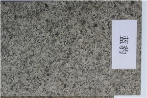 Blue Leopard Chengde Green Big Grain Granite Slabs for Counter Tops and Tiles Cheap Prices