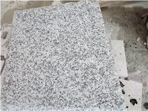 G439 China Grey Granite Tile & Slabs