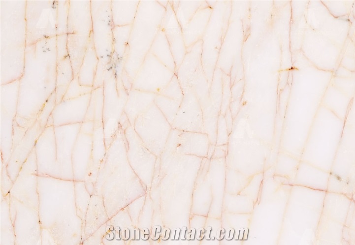Golden Spider marble tiles & slabs, white marble flooring tiles, walling tiles 