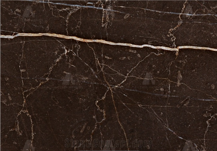 Swiss Brown marble tiles & slabs, brown polished marble flooring tiles, walling tiles 