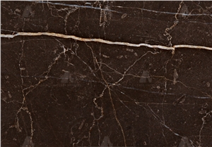 Swiss Brown marble tiles & slabs, brown polished marble flooring tiles, walling tiles 