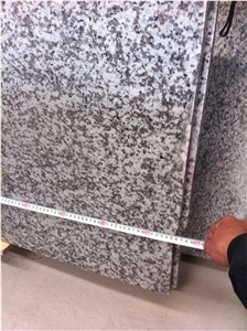 G439 Granite Slabs & Tiles, China White Granite