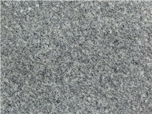 G603 Sesame Grey Granite Tiles /China Bianco Sardo Light Grey Granite Tiles