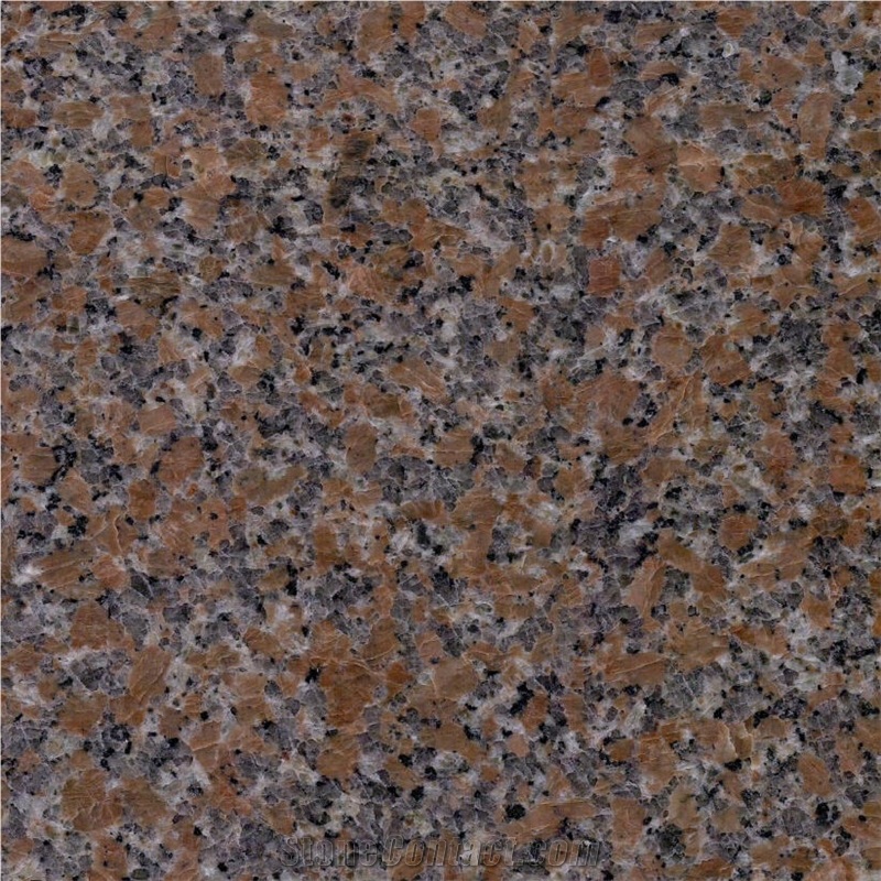 Maple Red Granite G562 Granite Tiles for Walling & Flooring, China Red Granite