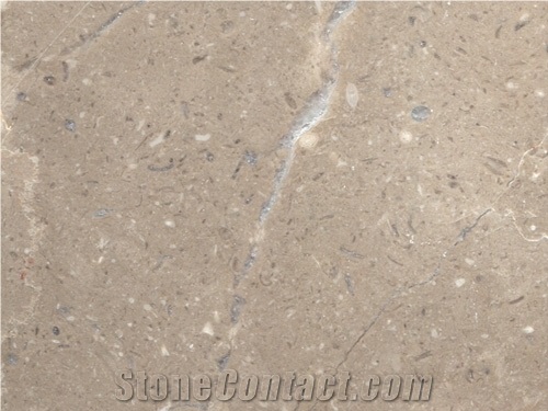 Persian Grey Marble Tiles Polished for Hotel/ Interior Stone Floor Covering, Iran Beige Marble