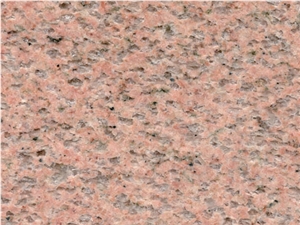 Salisbury Pink /Camelia Pink,Bethel Pink,Carolina Pink Granite Tiles for Wall Covering