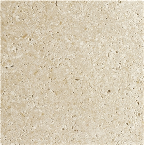 The Spanish White Fossil Limestone /Bianco Fossil Limestone Tiles & Slabs for Floor Covering Tiles, Blanco Fossil White Marble