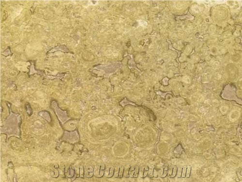 Turkey Coffee Travertine Tiles Tiles Polished for Hotel/ Interior Stone Floor Covering