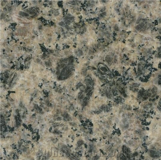 China Granite Stone Polished Leopard Granite Tile & Slab