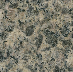 China Granite Stone Polished Leopard Granite Tile & Slab