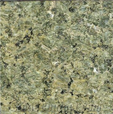 Hot Selling Polished Granite Stone Desert Green Granite Tile & Slab