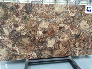 Brown Petrified Wood Semiprecious Stone Slabs/Semiprecious Stone Big Slabs & Tiles & Gangsaw Slabs & Strips(Small Slabs) & Customized