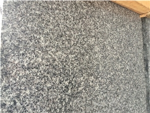 Chinese Grey Granite, Georgia Grey Granite Tiles & Slabs, Georgia Grey Granite Floor and Wall Covering Tiles, Xiamen Winggreen Manufacturer